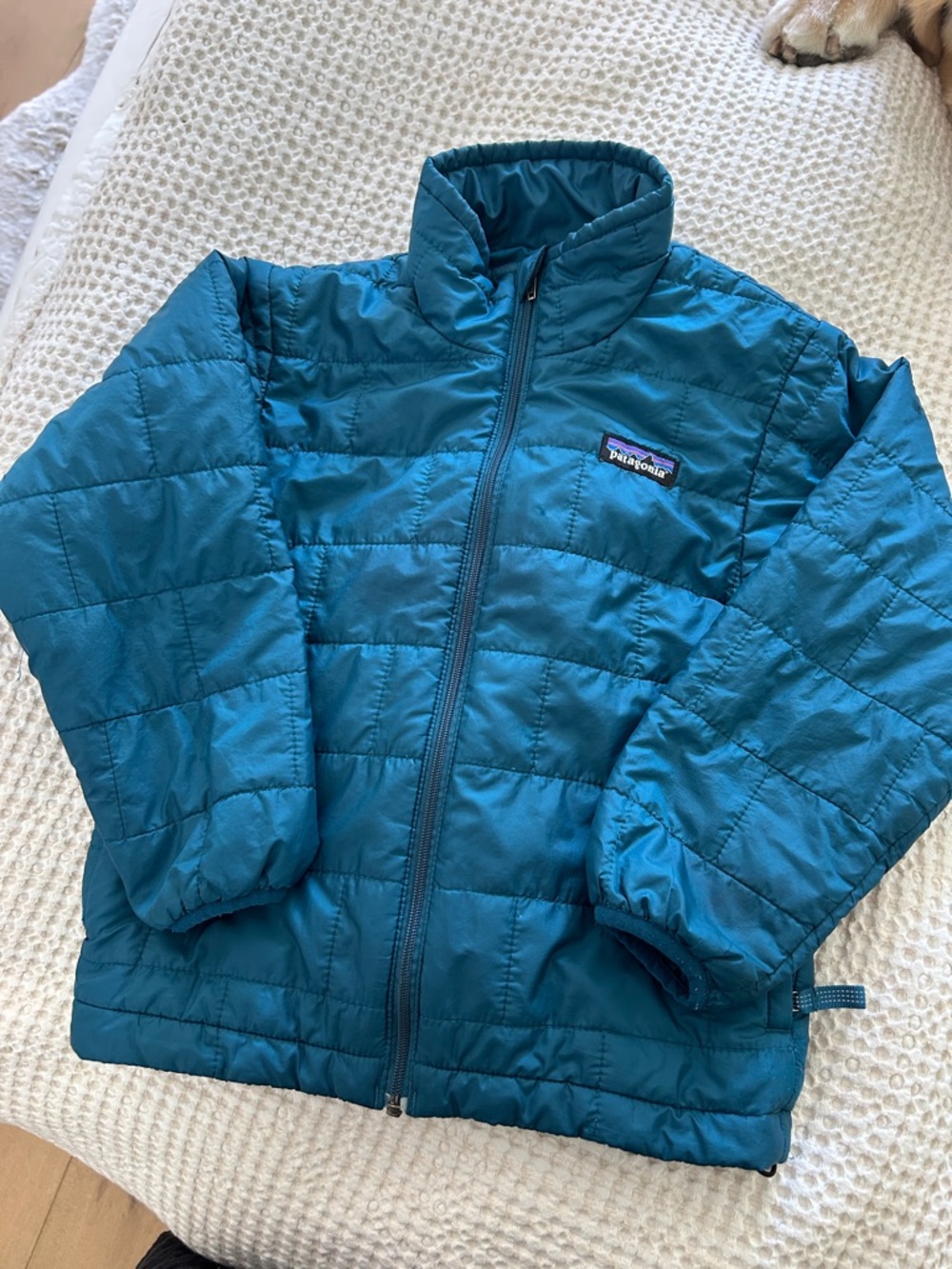 Patagonia Teal Quilted Insulated Jacket